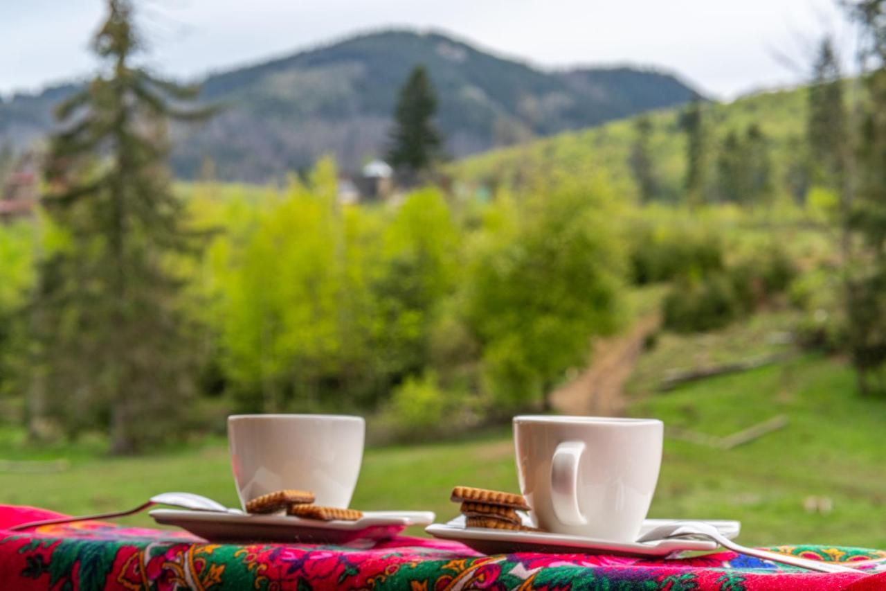 Bialy Mis Art & Design * Zakopane